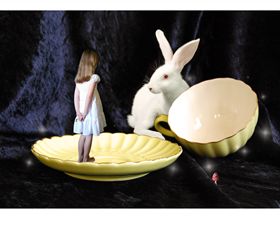 Whale Bone Gallery - Gold Coast Attractions 4