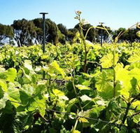 Basalt Wines - Gold Coast Attractions