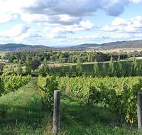 Sassy Wines - Gold Coast Attractions