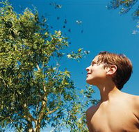 Birdwatching on Keswick Island