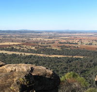 Basin Gully to Eualdrie lookout track - Gold Coast Attractions