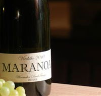 Baptista - David Traeger - Gold Coast Attractions