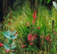 Enfield State Park - Gold Coast Attractions