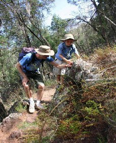  Gold Coast Attractions