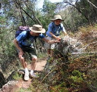 Mount Arthur Reserve - Gold Coast Attractions