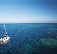 Bait Reef and Garys Lagoon Dive Site - Gold Coast Attractions