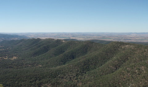 Mount Nangar Walking Track - Gold Coast Attractions 2