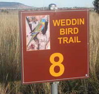 Weddin Bird Trails - Gold Coast Attractions