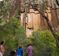Sawn Rocks walking track - Gold Coast Attractions