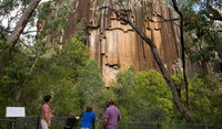 Sawn Rocks walking track
