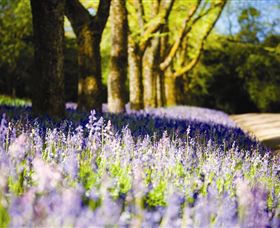 Duneira, Mt Macedon - Gold Coast Attractions 4