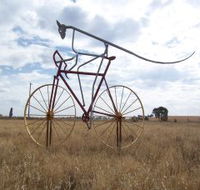 Animals on Bikes - Gold Coast Attractions
