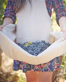 Lake Moodemere Estate - Gold Coast Attractions 1