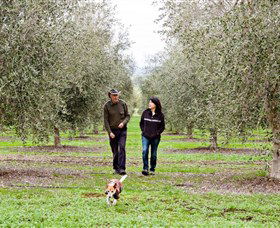 Wollundry Grove Olives - Gold Coast Attractions 3