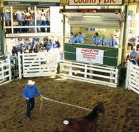 Gracemere Exhibition Complex - Gold Coast Attractions