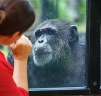 The Rockhampton Zoo - Gold Coast Attractions