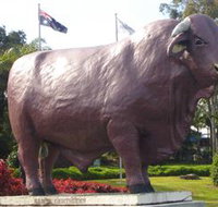 Rockhampton Bull Statues - Gold Coast Attractions