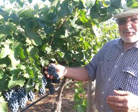 Rosnay Organic Farm And Vineyard - Gold Coast Attractions 6