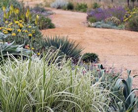 Perennialle Plants Nursery And Garden - Gold Coast Attractions 1