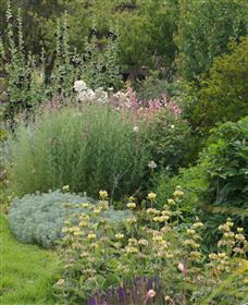 Perennialle Plants Nursery And Garden - Gold Coast Attractions 6