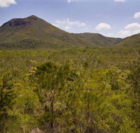 Kutini-Payamu Iron Range National Park CYPAL - Gold Coast Attractions