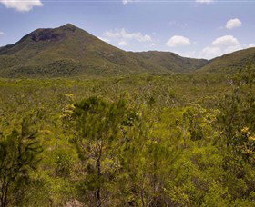Kutini-Payamu (Iron Range) National Park (CYPAL) - Gold Coast Attractions 0