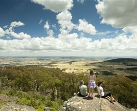 Mt Wombat Lookout - Gold Coast Attractions 0