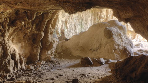 Borenore Karst Conservation Reserve - Gold Coast Attractions 1