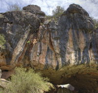 Borenore Karst Conservation Reserve - Gold Coast Attractions
