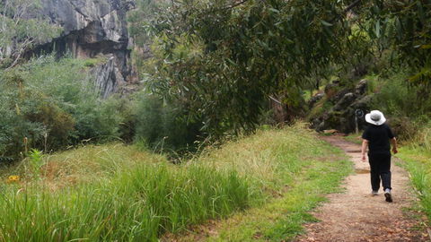Borenore Karst Conservation Reserve - Gold Coast Attractions 3