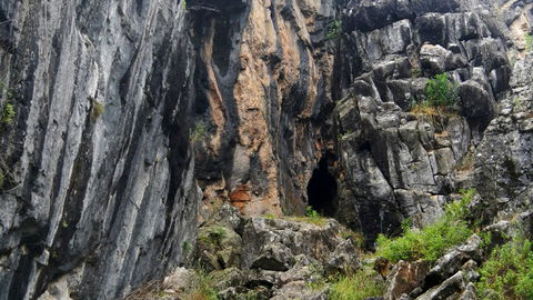 Borenore Karst Conservation Reserve - Gold Coast Attractions 2