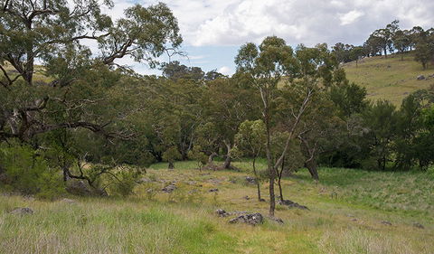 Verandah Cave - Gold Coast Attractions 1