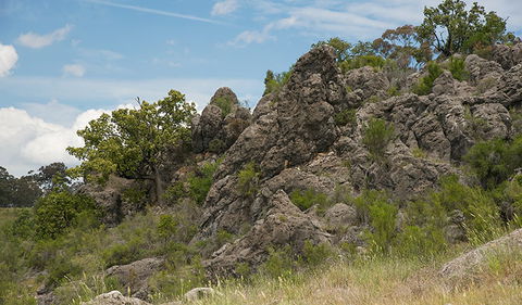 Verandah Cave - Gold Coast Attractions 0