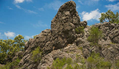 Verandah Cave - Gold Coast Attractions 2