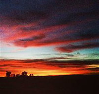 Springview Eco-Farm - Gold Coast Attractions