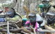 Hot Shots Paintball Skirmish - thumb 3