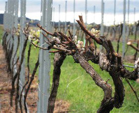 Stockmans Ridge Wines - Gold Coast Attractions 2