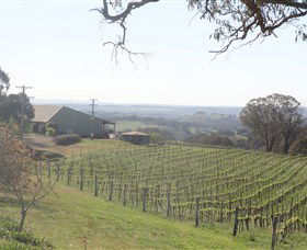 Cargo Road Wines - Gold Coast Attractions 1