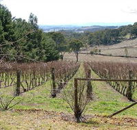Habitat Vineyard - Gold Coast Attractions