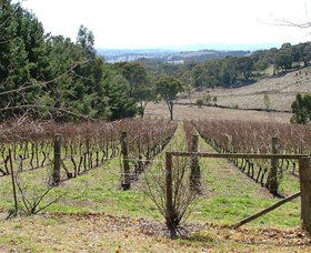 Habitat Vineyard - Gold Coast Attractions 0