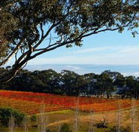 Bloodwood Estate - Gold Coast Attractions