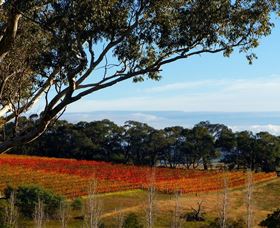Bloodwood Estate - Gold Coast Attractions 0