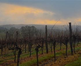 Bloodwood Estate - Gold Coast Attractions 1