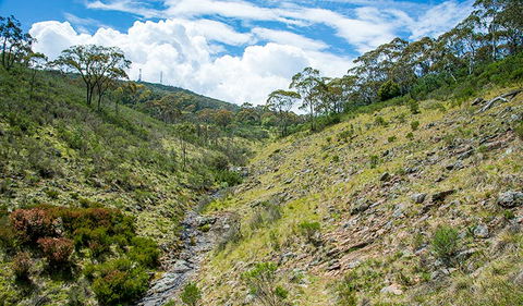 Hopetoun Falls Walking Track - Gold Coast Attractions 3