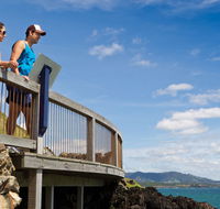 Mount Canobolas State Conservation Area - Gold Coast Attractions