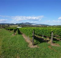 Hedberg Hill Wines - Gold Coast Attractions