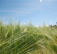 150 Degrees East Meridian - Gold Coast Attractions