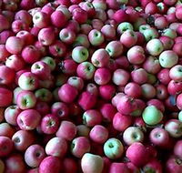 Hillside Orchard - Gold Coast Attractions