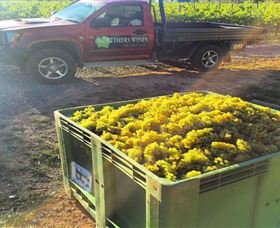 Mortimers Of Orange - Gold Coast Attractions 2