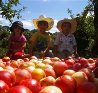 Bonny Glen Fruits - Gold Coast Attractions